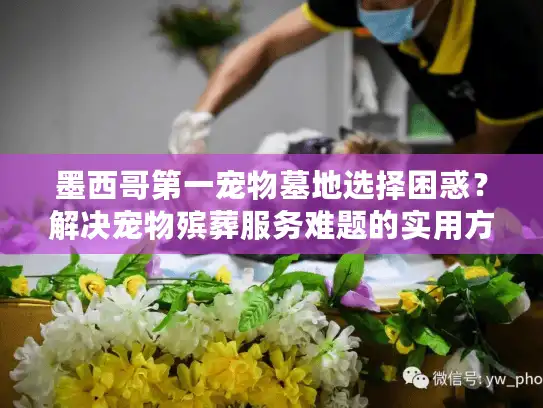 墨西哥第一宠物墓地选择困惑？解决宠物殡葬服务难题的实用方案