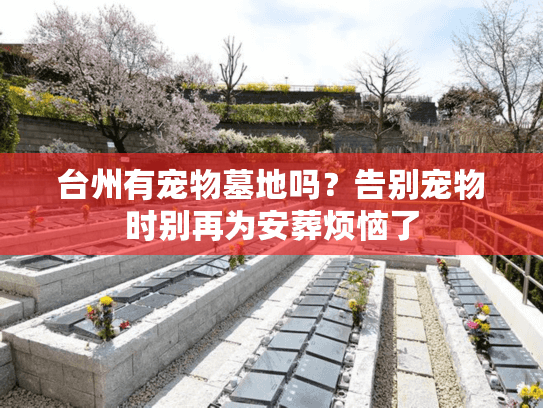 台州有宠物墓地吗？告别宠物时别再为安葬烦恼了