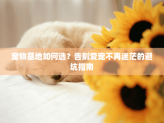 宠物墓地如何选？告别爱宠不再迷茫的避坑指南