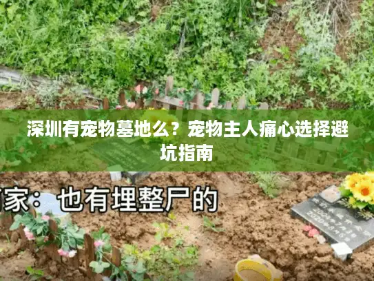 深圳有宠物墓地么？宠物主人痛心选择避坑指南