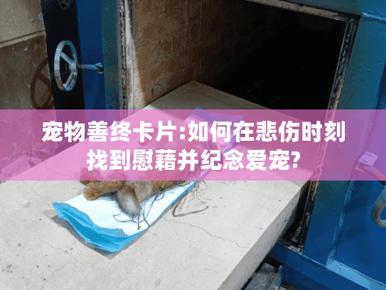 宠物善终卡片:如何在悲伤时刻找到慰藉并纪念爱宠? 宠物善终卡片:如何在悲伤时刻找到慰藉并纪念爱宠?