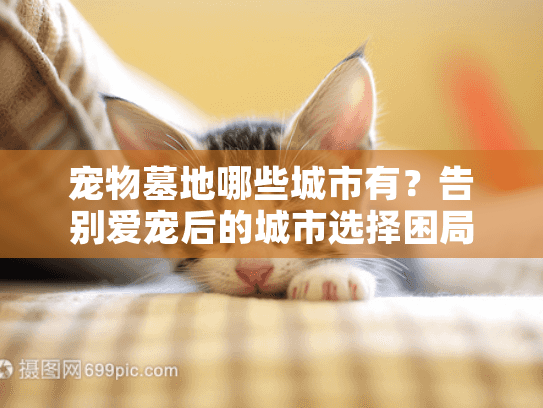 宠物墓地哪些城市有？告别爱宠后的城市选择困局