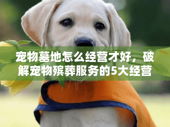 宠物墓地怎么经营才好，破解宠物殡葬服务的5大经营瓶颈