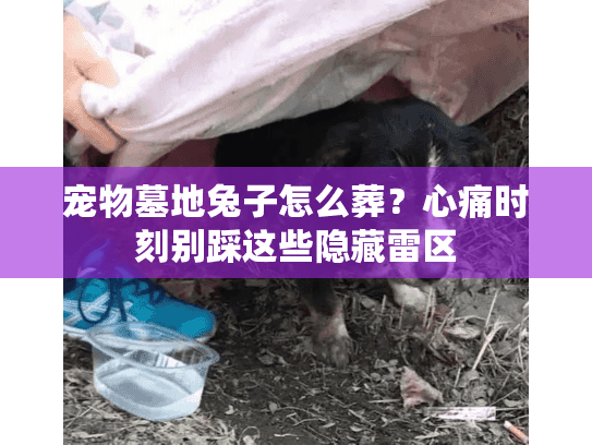 宠物墓地兔子怎么葬？心痛时刻别踩这些隐藏雷区