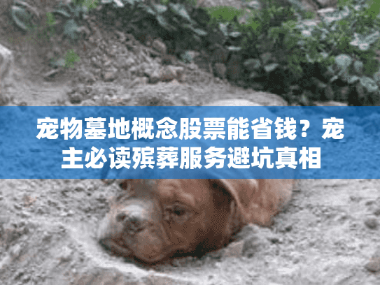 宠物墓地概念股票能省钱？宠主必读殡葬服务避坑真相