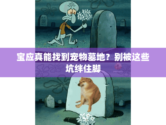 宝应真能找到宠物墓地？别被这些坑绊住脚