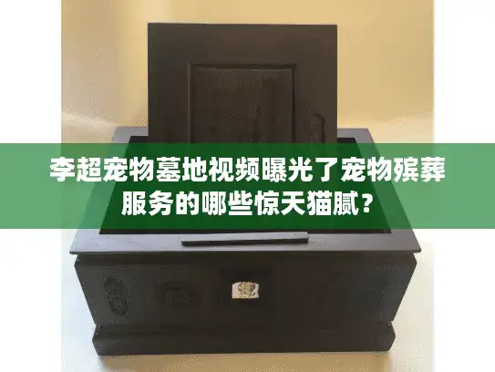 李超宠物墓地视频曝光了宠物殡葬服务的哪些惊天猫腻？