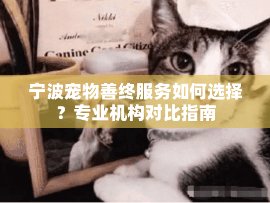 宁波宠物善终服务如何选择？专业机构对比指南