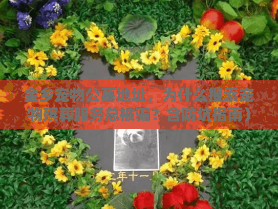 金乡宠物公墓地址，为什么搜索宠物殡葬服务总被骗？含防坑指南）