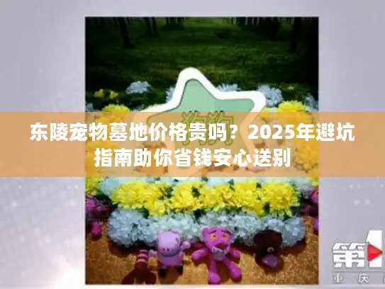东陵宠物墓地价格贵吗？2025年避坑指南助你省钱安心送别