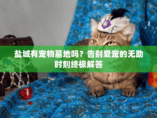 盐城有宠物墓地吗？告别爱宠的无助时刻终极解答