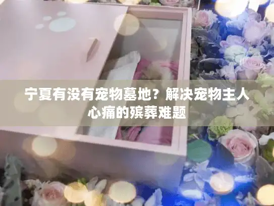 宁夏有没有宠物墓地？解决宠物主人心痛的殡葬难题