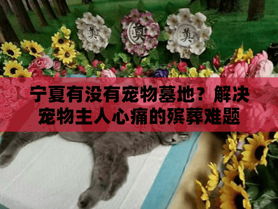 宁夏有没有宠物墓地？解决宠物主人心痛的殡葬难题