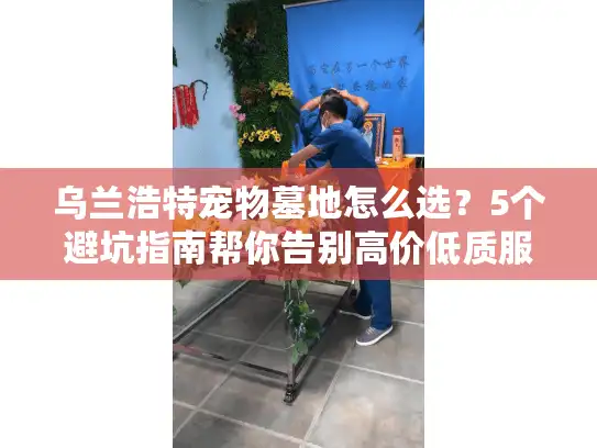 乌兰浩特宠物墓地怎么选？5个避坑指南帮你告别高价低质服务！