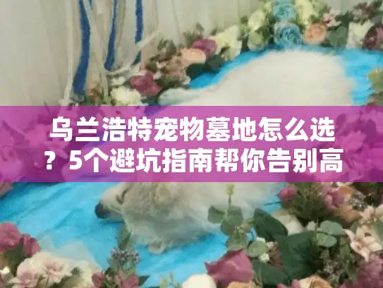 乌兰浩特宠物墓地怎么选？5个避坑指南帮你告别高价低质服务！