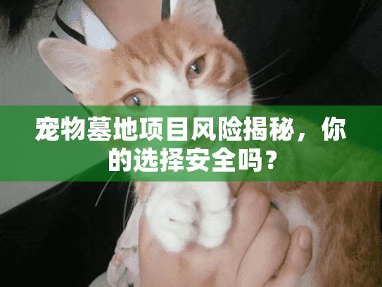 宠物墓地项目风险揭秘，你的选择安全吗？