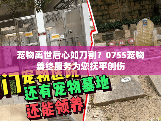 宠物离世后心如刀割？0755宠物善终服务为您抚平创伤