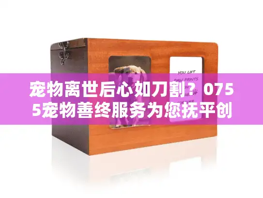 宠物离世后心如刀割？0755宠物善终服务为您抚平创伤