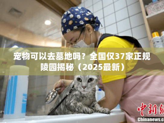 宠物可以去墓地吗？全国仅37家正规陵园揭秘（2025最新）