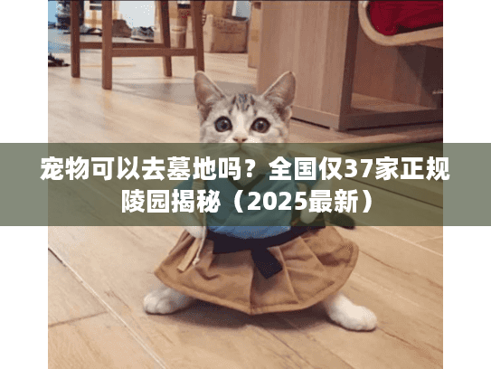 宠物可以去墓地吗？全国仅37家正规陵园揭秘（2025最新）