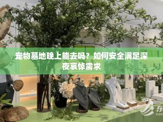 宠物墓地晚上能去吗?如何安全满足深夜哀悼需求 宠物墓地晚上能去吗?如何安全满足深夜哀悼需求