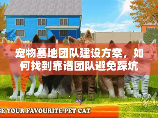 宠物墓地团队建设方案，如何找到靠谱团队避免踩坑？