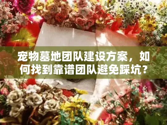 宠物墓地团队建设方案，如何找到靠谱团队避免踩坑？