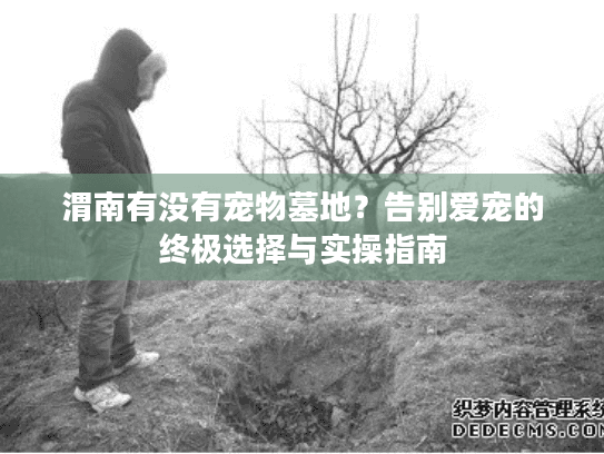渭南有没有宠物墓地？告别爱宠的终极选择与实操指南