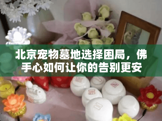 北京宠物墓地选择困局，佛手心如何让你的告别更安心？