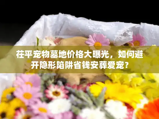 茌平宠物墓地价格大曝光,如何避开隐形陷阱省钱安葬爱宠? 茌平宠物墓地价格大曝光,如何避开隐形陷阱省钱安葬爱宠?