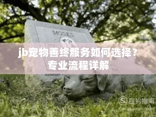 jb宠物善终服务如何选择？专业流程详解