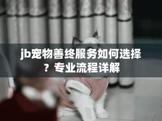 jb宠物善终服务如何选择？专业流程详解