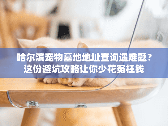 哈尔滨宠物墓地地址查询遇难题？这份避坑攻略让你少花冤枉钱
