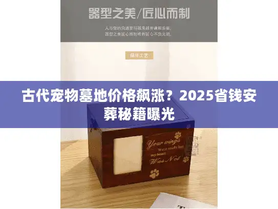 古代宠物墓地价格飙涨？2025省钱安葬秘籍曝光