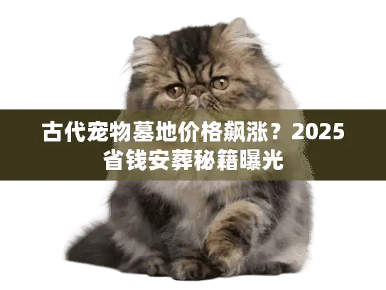 古代宠物墓地价格飙涨？2025省钱安葬秘籍曝光