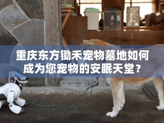 重庆东方锄禾宠物墓地如何成为您宠物的安眠天堂？