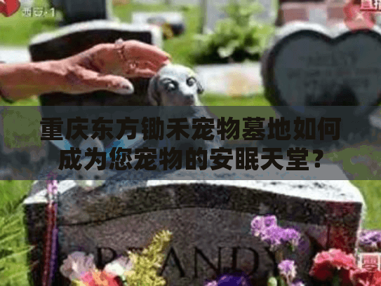重庆东方锄禾宠物墓地如何成为您宠物的安眠天堂？