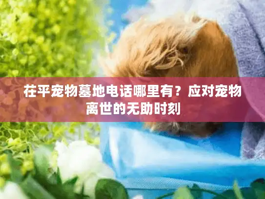 茌平宠物墓地电话哪里有？应对宠物离世的无助时刻