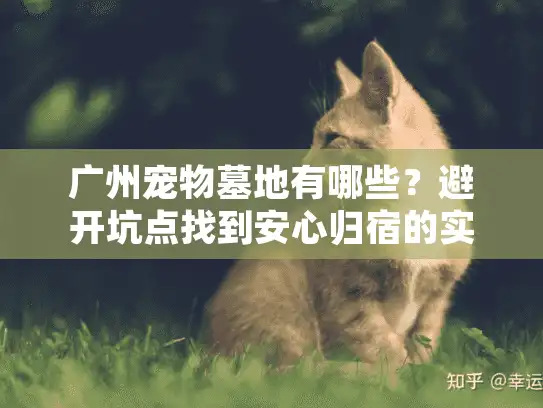 广州宠物墓地有哪些?避开坑点找到安心归宿的实操手册 广州宠物墓地有哪些?避开坑点找到安心归宿的实操手册