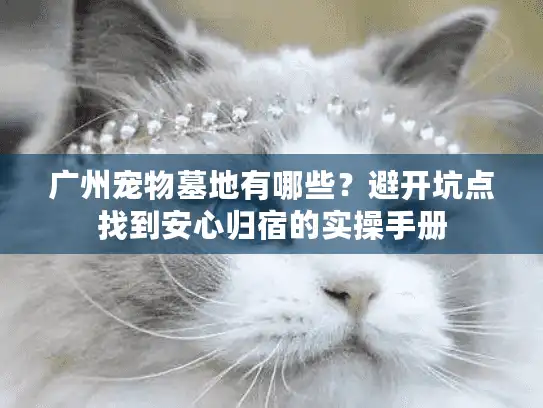 广州宠物墓地有哪些?避开坑点找到安心归宿的实操手册 广州宠物墓地有哪些?避开坑点找到安心归宿的实操手册