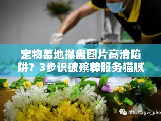 宠物墓地操盘图片高清陷阱？3步识破殡葬服务猫腻