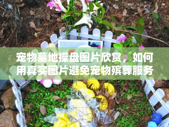 宠物墓地操盘图片欣赏，如何用真实图片避免宠物殡葬服务中的高价陷阱？