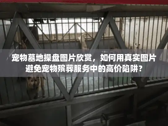 宠物墓地操盘图片欣赏，如何用真实图片避免宠物殡葬服务中的高价陷阱？