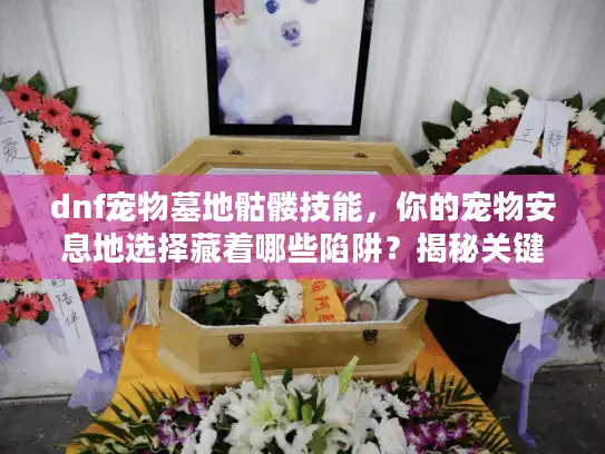 dnf宠物墓地骷髅技能，你的宠物安息地选择藏着哪些陷阱？揭秘关键规避步骤