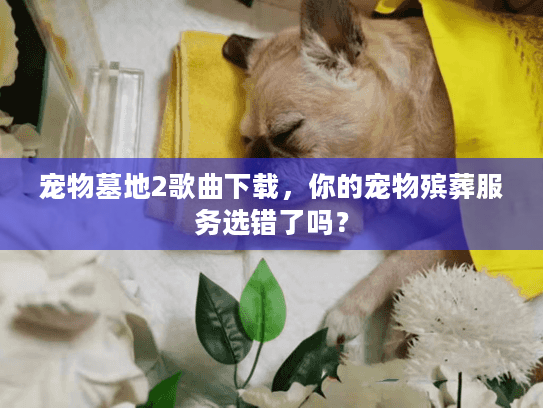 宠物墓地2歌曲下载,你的宠物殡葬服务选错了吗? 宠物墓地2歌曲下载,你的宠物殡葬服务选错了吗?