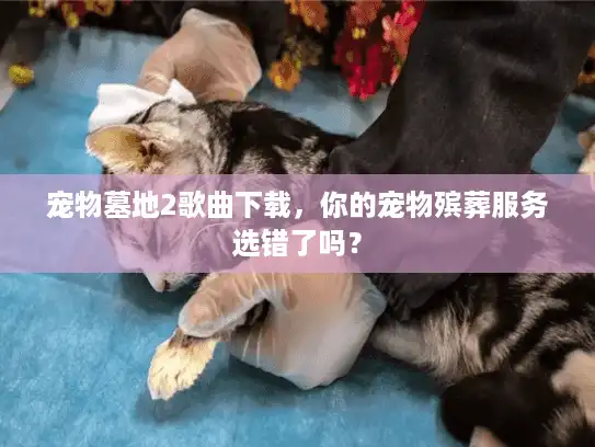 宠物墓地2歌曲下载,你的宠物殡葬服务选错了吗? 宠物墓地2歌曲下载,你的宠物殡葬服务选错了吗?