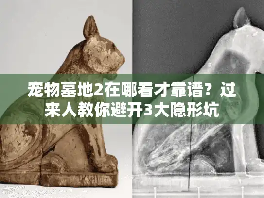 宠物墓地2在哪看才靠谱？过来人教你避开3大隐形坑