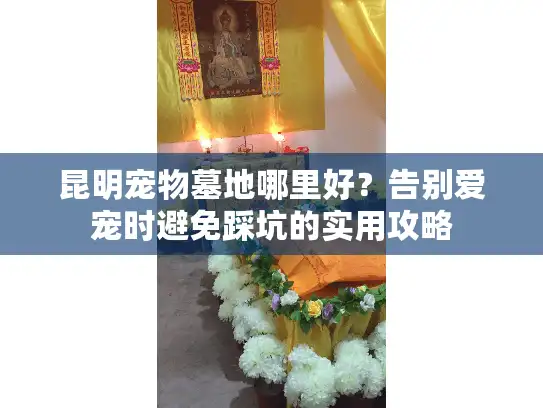 昆明宠物墓地哪里好？告别爱宠时避免踩坑的实用攻略