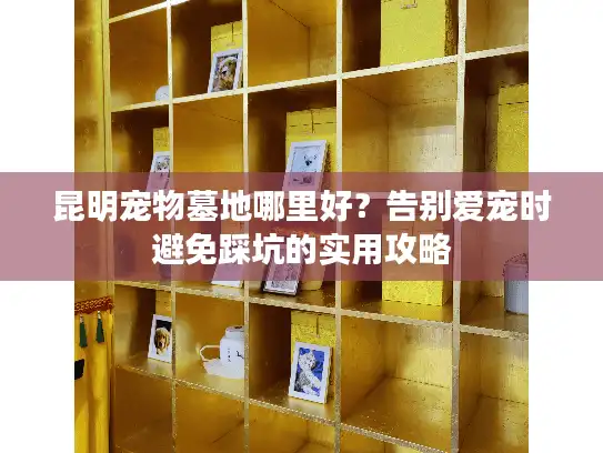 昆明宠物墓地哪里好？告别爱宠时避免踩坑的实用攻略