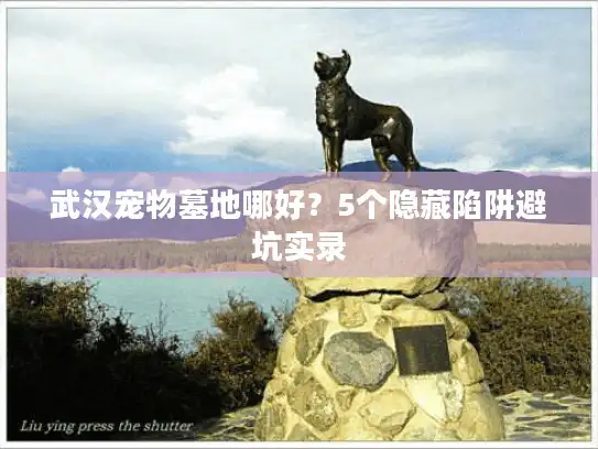 武汉宠物墓地哪好？5个隐藏陷阱避坑实录